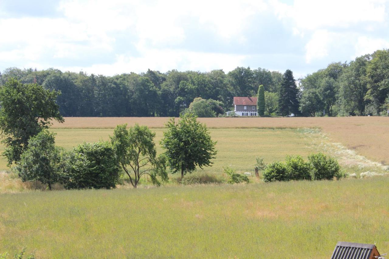 Ferienwohnung Landsburgblick Neuental Exterior foto